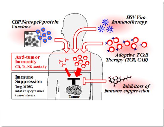 CHP Nanogel.protein Vaccines