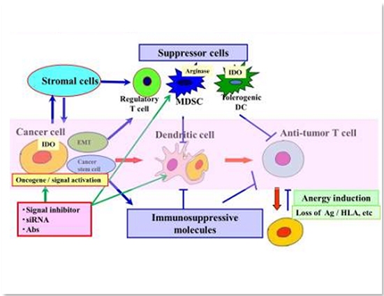 Suppresson cells